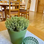 Appartement Hanssler Wilhelmsdorf (Ravensburg)