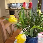 Appartement Hanssler Wilhelmsdorf (Ravensburg)
