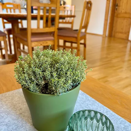 Apartment Hanssler *