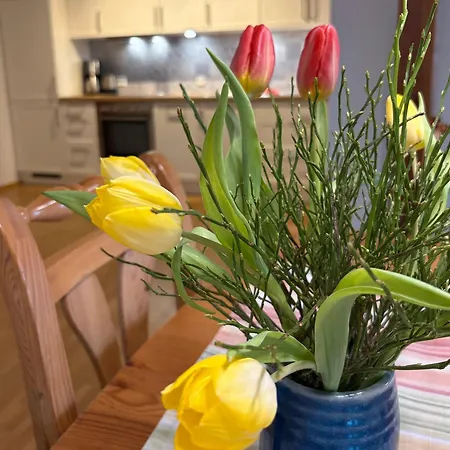 Hanssler * 윌헴스돌프