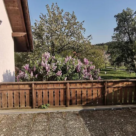 Hanssler 아파트 *