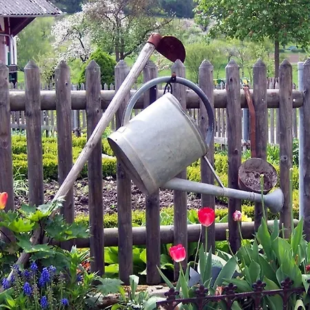 Hanssler 윌헴스돌프