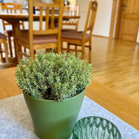 Apartment Hanssler Wilhelmsdorf (Ravensburg)