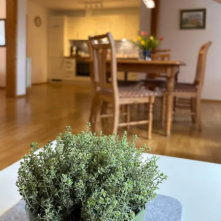 Apartment Hanssler