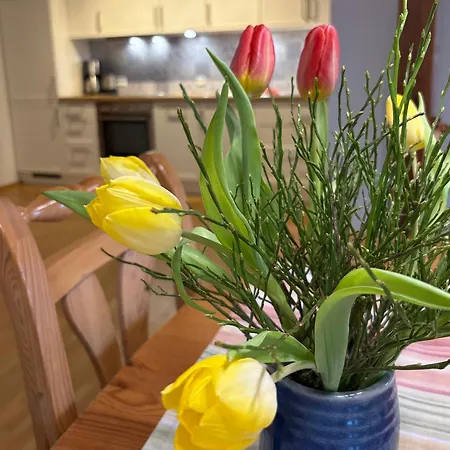 Apartment Hanssler Wilhelmsdorf (Ravensburg)